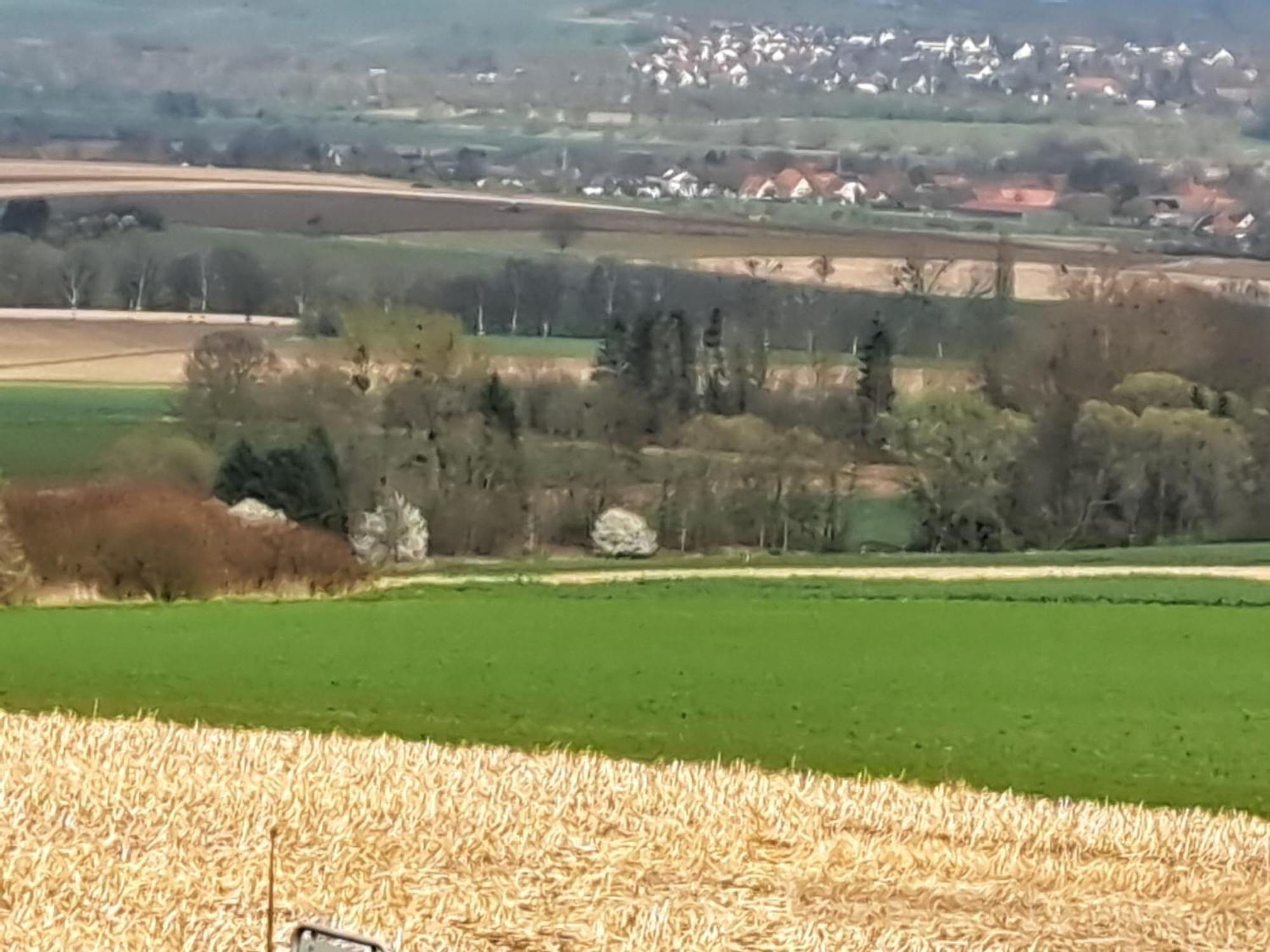 Zur Schoenen Aussicht Hamelin Exterior foto